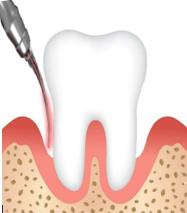 dentista monza