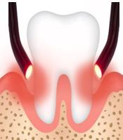 dentista monza