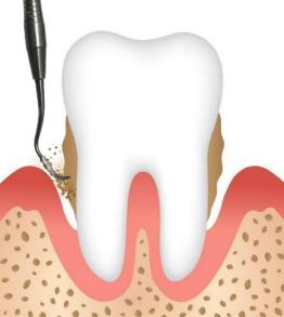 dentista monza